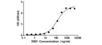 Formulation